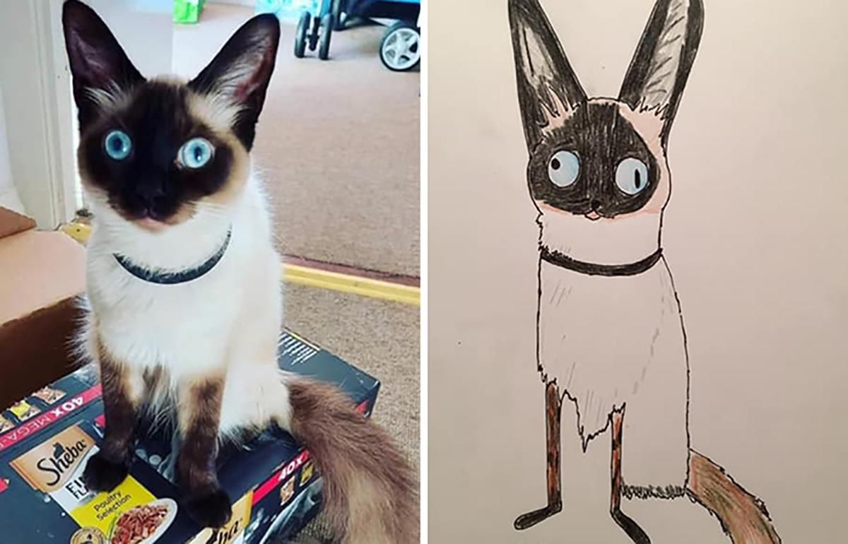 Британец рисует портреты домашних животных, чтобы помочь бездомным Британец рисует портреты домашних животных, чтобы помочь бездомным