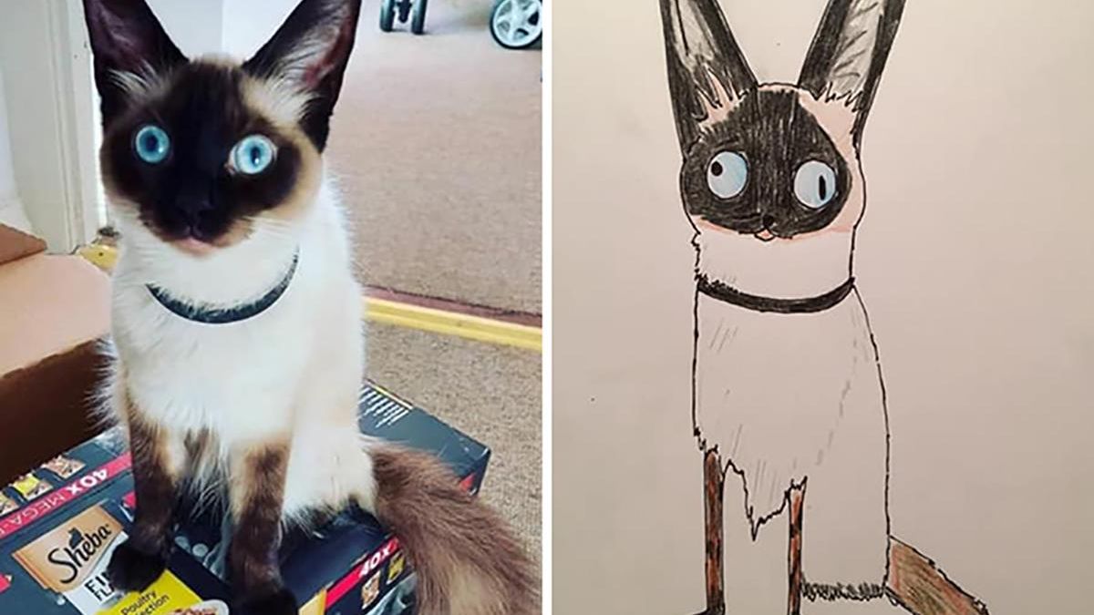 Британец рисует портреты домашних животных, чтобы помочь бездомным