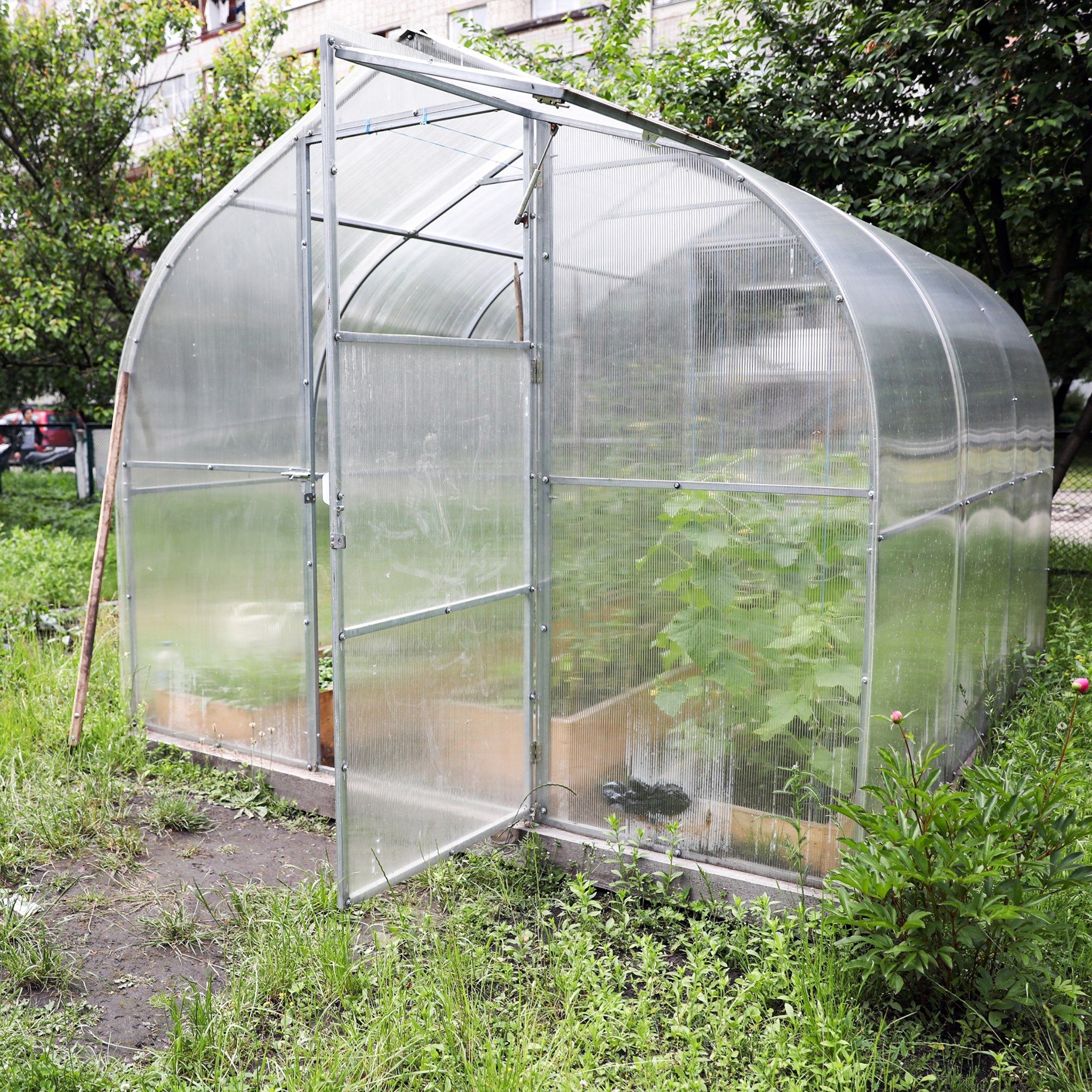 "Живи органично": во львовском детском саду обустроили теплицу – почему это важно - Тренди "Живи органично": во львовском детском саду обустроили теплицу – почему это важно - Тренди