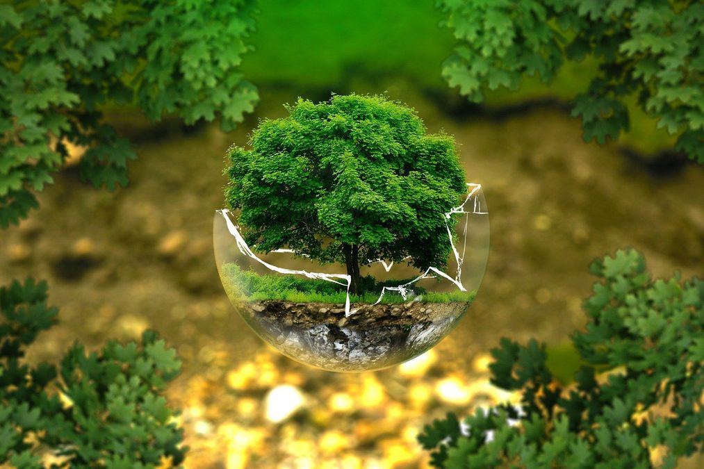 Стартував Lviv Eco Forum 2021: чому це важливо - Тренди Стартував Lviv Eco Forum 2021: чому це важливо - Тренди