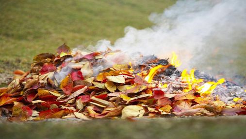 Чому спалювати сухе листя – не вихід, та як правильно його утилізувати