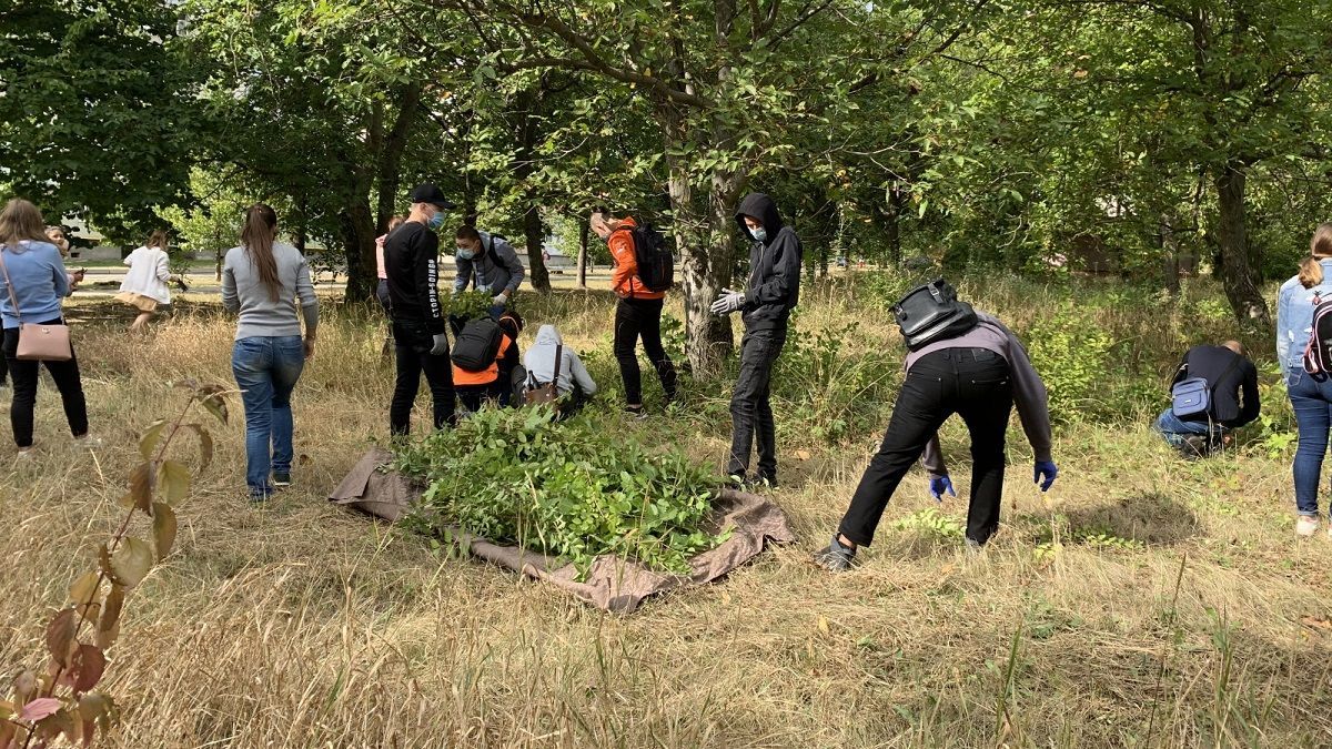 Во Всемирном дне уборки 2021 приняли участие более 300 тысяч украинцев: итоги - Тренды Во Всемирном дне уборки 2021 приняли участие более 300 тысяч украинцев: итоги - Тренды