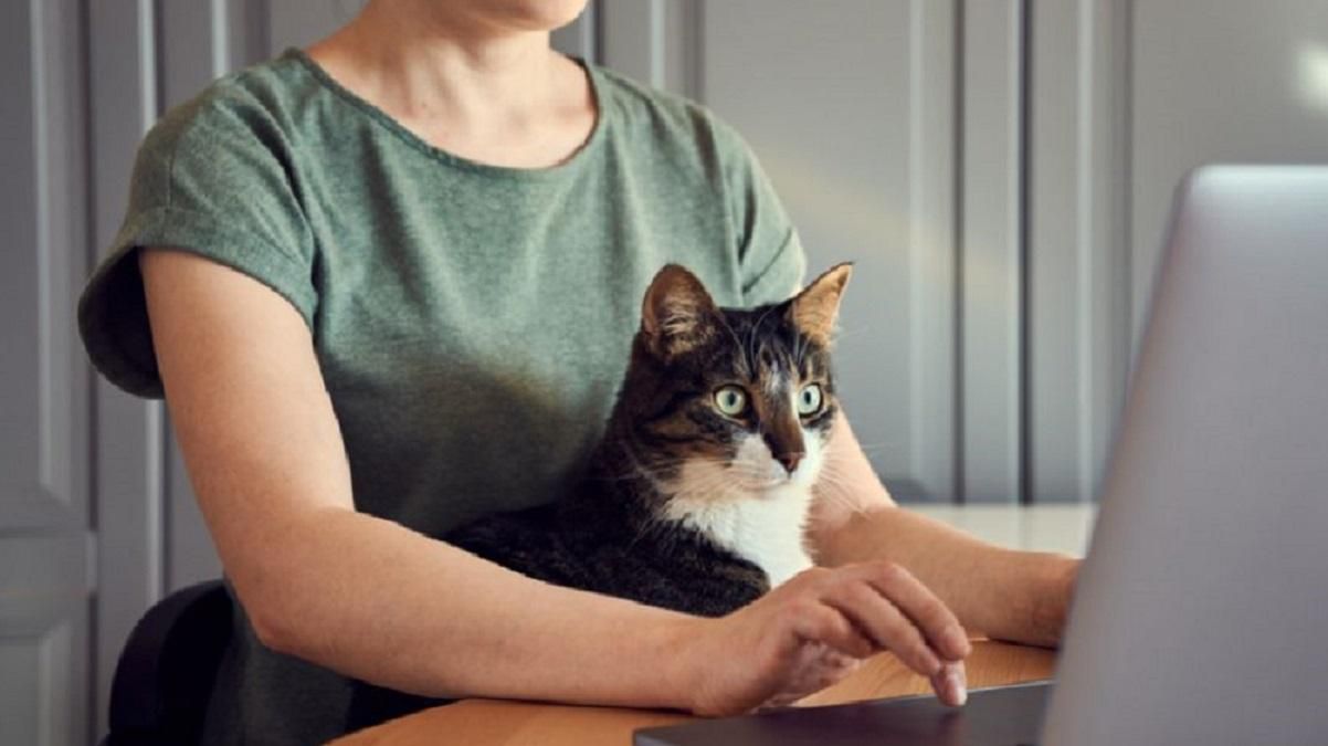 Большинство работников готовы уволиться, чтобы не возвращаться с "удаленки": опрос - Тренды Большинство работников готовы уволиться, чтобы не возвращаться с "удаленки": опрос - Тренды