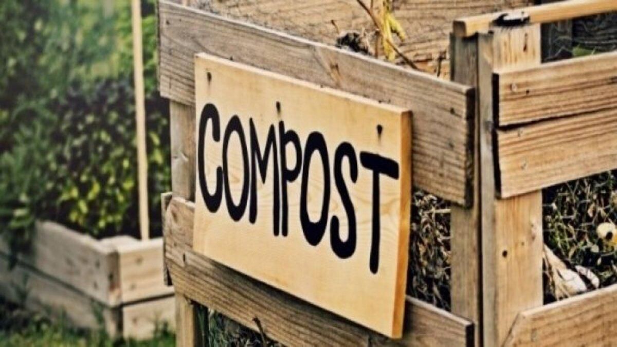В Україні запускають навчання з компостування відходів: взяти участь - Тренди В Україні запускають навчання з компостування відходів: взяти участь - Тренди