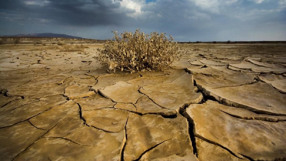 ООН прогнозує глобальну водну кризу - Тренди