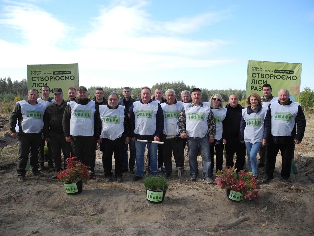 На Черкащині активісти висадили новий сосново-дубовий ліс: фото надихають - Тренди