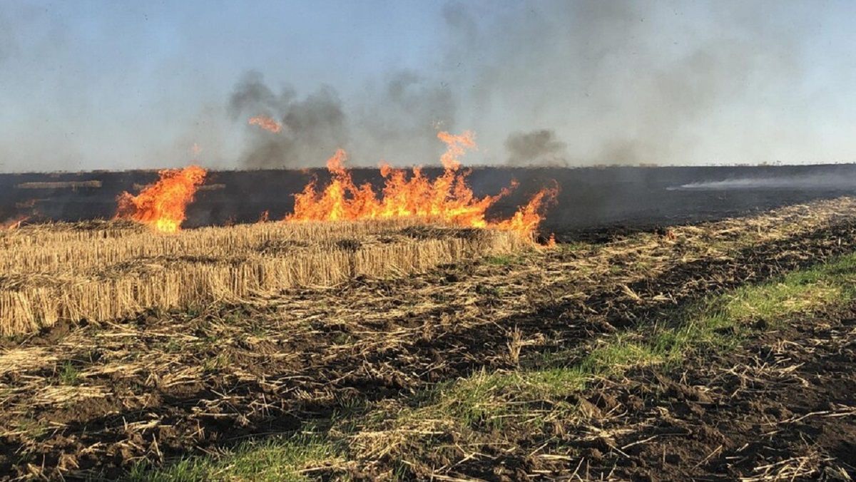 На Буковине поджигателей травы ищут с помощью дрона - Новости Черновцы - Тренды