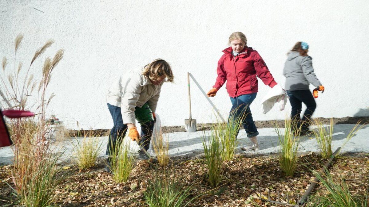 Во Львове обустраивают "зеленое" пространство - Тренды Во Львове обустраивают "зеленое" пространство - Тренды