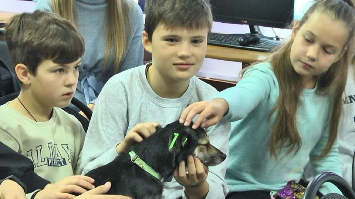 Шестиклассница стала инициатором благотворительной акции в Луцке - Новости Луцк - Тренды Шестиклассница стала инициатором благотворительной акции в Луцке - Новости Луцк - Тренды