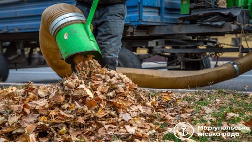 В Мариуполе убрали более 300 тонн листьев