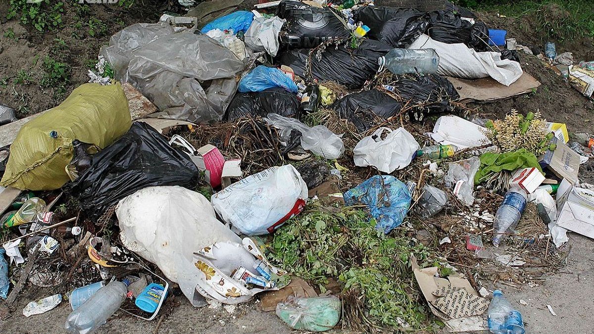 У Зеленського просять підвищити штрафи за викинуте сміття - Україна новини - Тренди