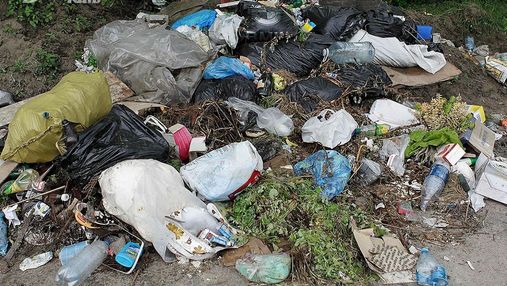 Зеленського просять підвищити штрафи за викинуте сміття
