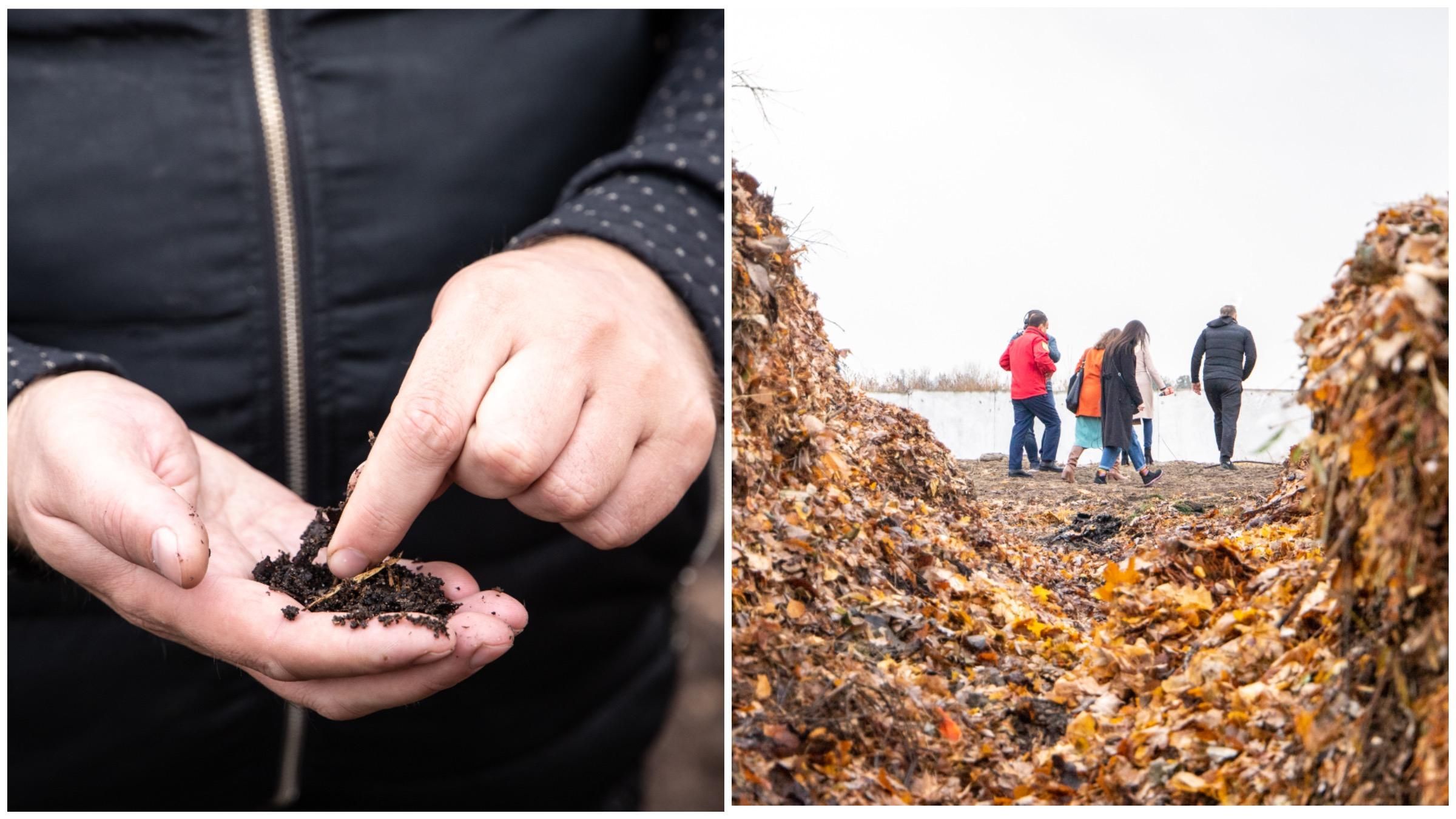 У Києві з опалого листя роблять добриво: все завдяки хробакам - Украина новости - Тренды У Києві з опалого листя роблять добриво: все завдяки хробакам - Украина новости - Тренды