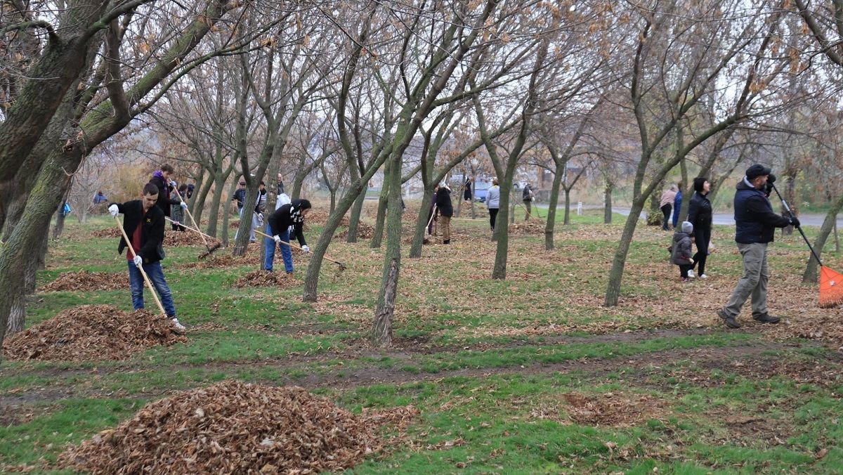 В Николаеве провели экологическую толоку - Украина новости - Тренды В Николаеве провели экологическую толоку - Украина новости - Тренды