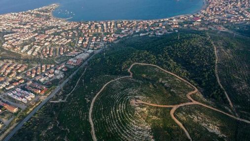 У Туреччині відновили ліс, який повністю вигорів декілька років тому