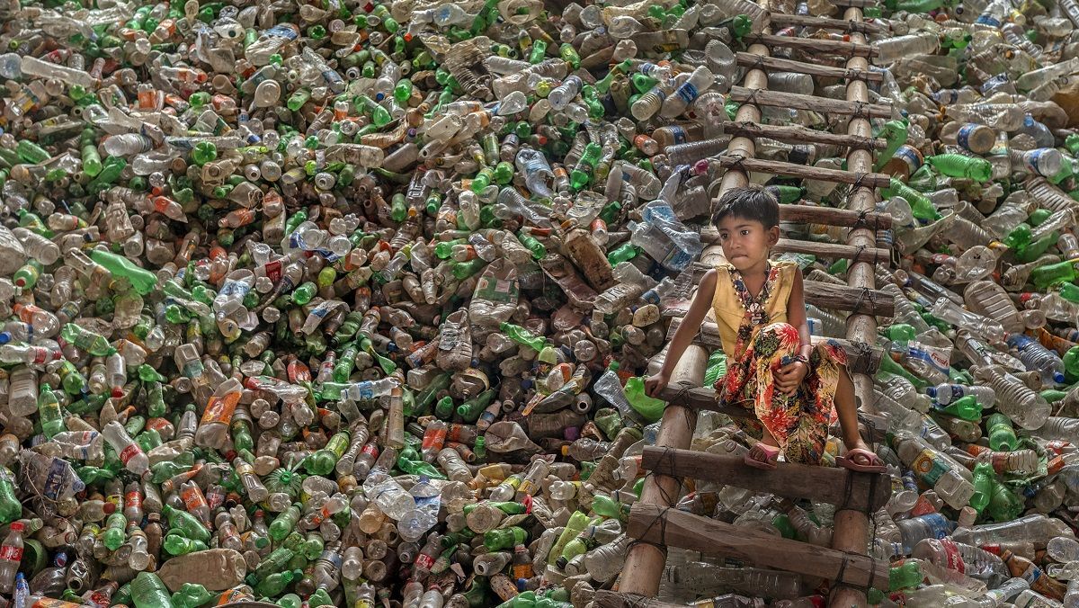 Оголосили переможців конкурсу екологічного фото - Тренди Оголосили переможців конкурсу екологічного фото - Тренди