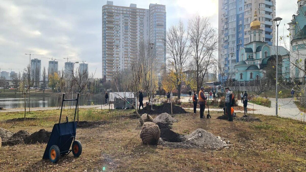 В Киеве местные жители высадили катальповую рощу - Тренды В Киеве местные жители высадили катальповую рощу - Тренды