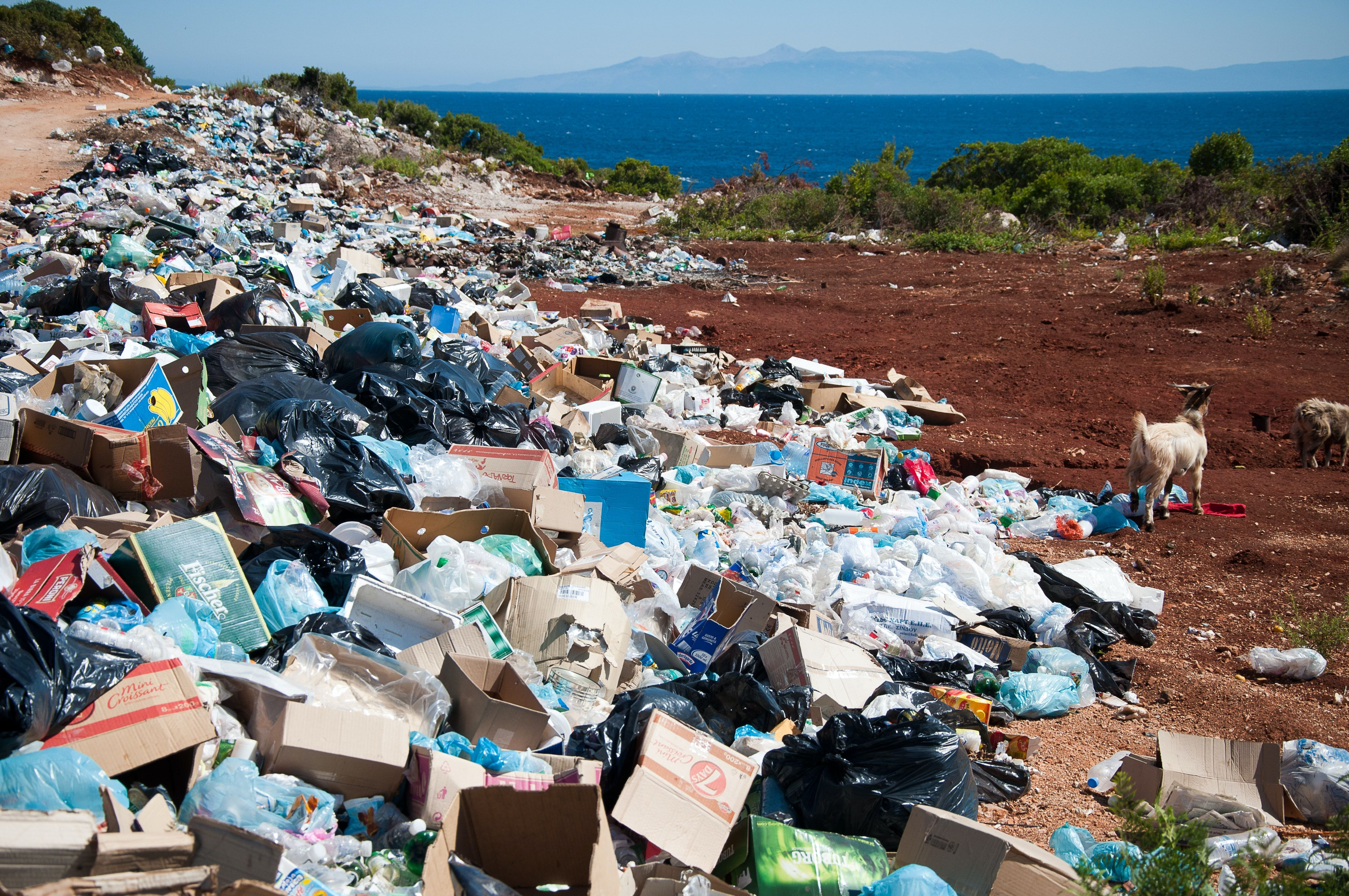 Цифра вражає: скільки відходів в Україні потрапляє на сміттєзвалища - Тренди