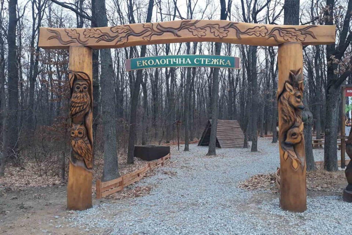 На Буковині відкрили нову екологічну стежку - Тренди На Буковині відкрили нову екологічну стежку - Тренди