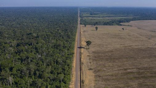У Бразилії заявили про катастрофічний рівень знеліснення Амазонії