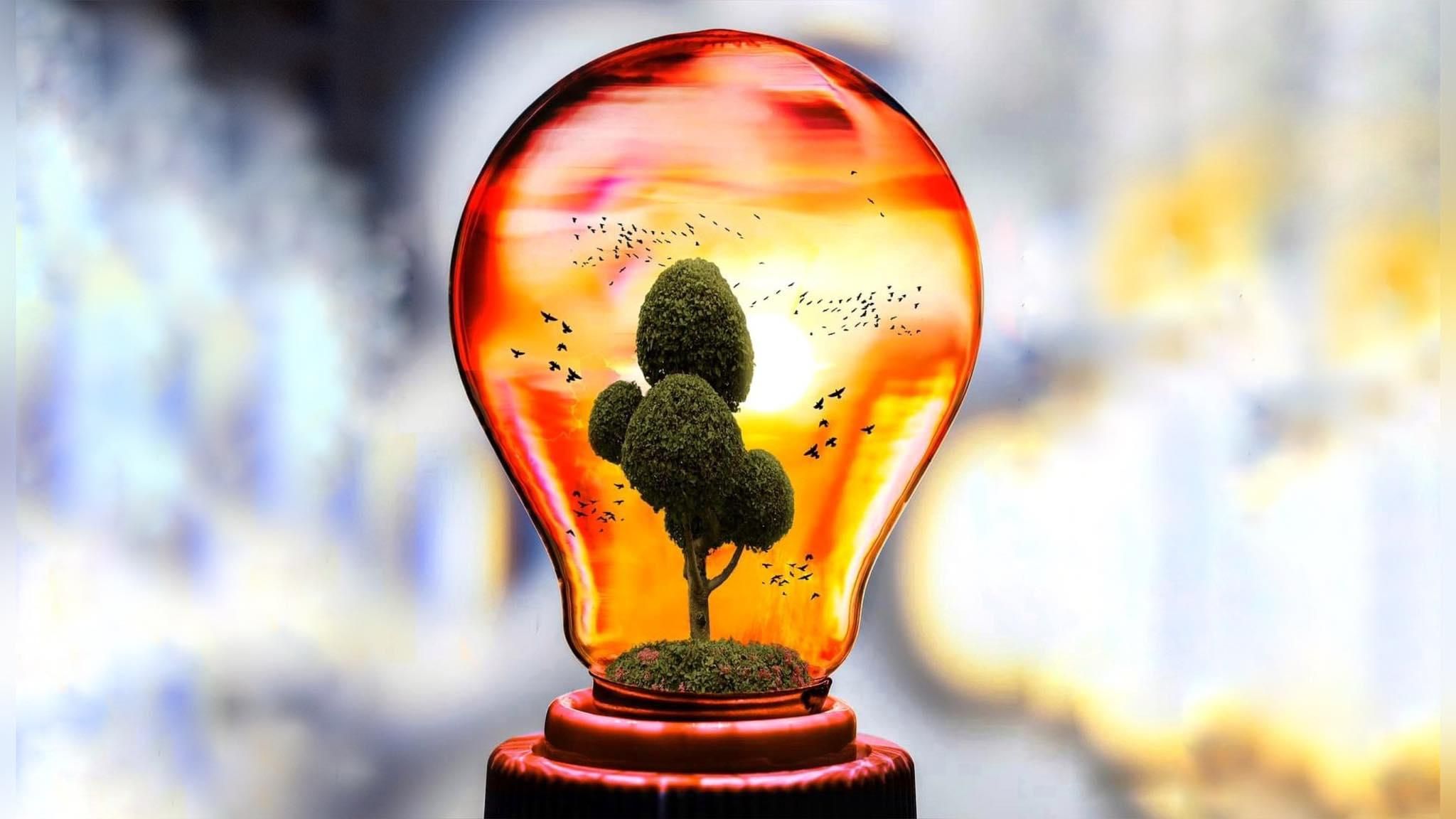 Український Greencubator запускає освітню платформу для екостартапів - Тренди Український Greencubator запускає освітню платформу для екостартапів - Тренди