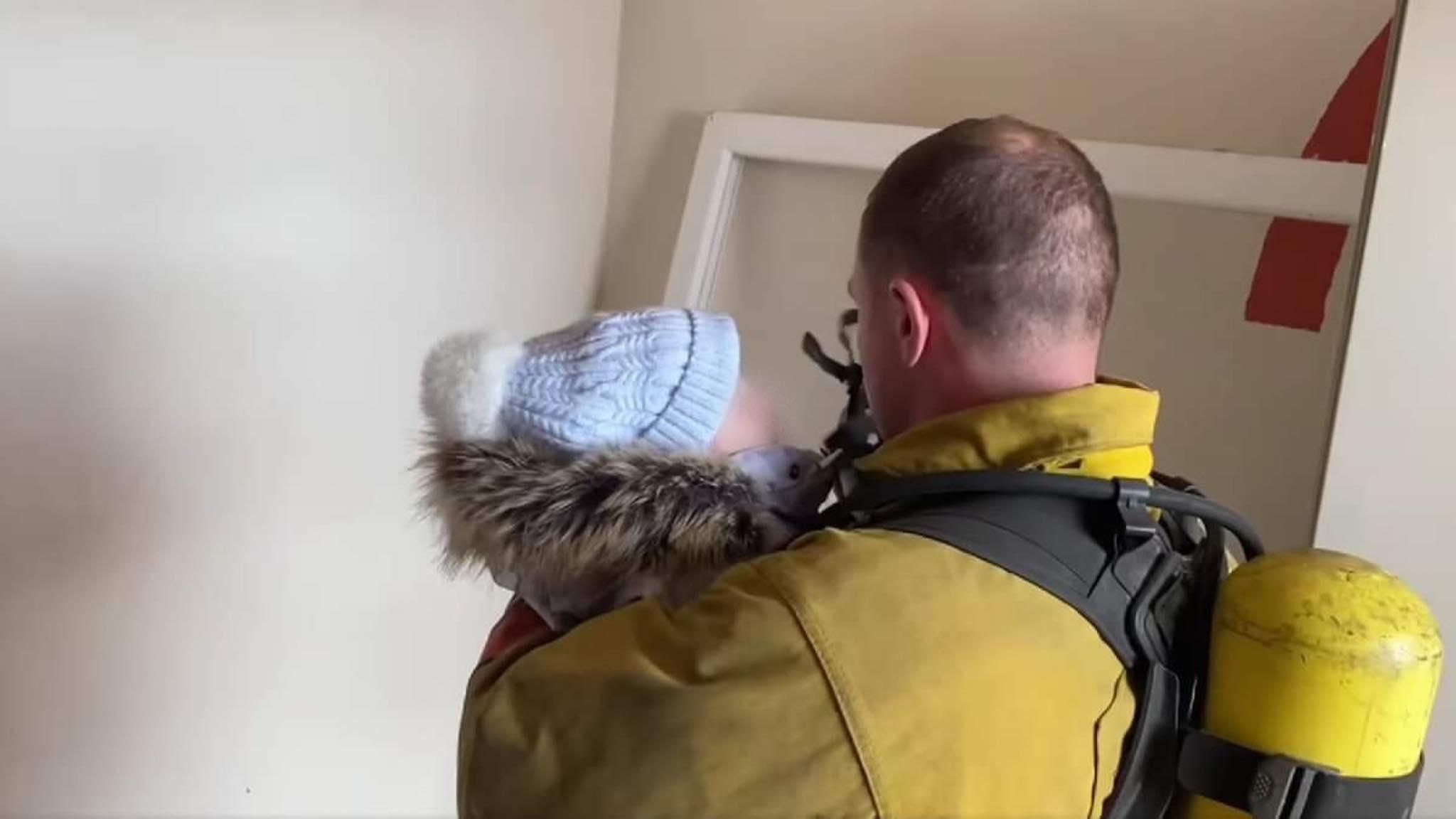 Киевский спасатель отдал свою маску ребенку и вынес его из пожара: щемящие фото - Тренды