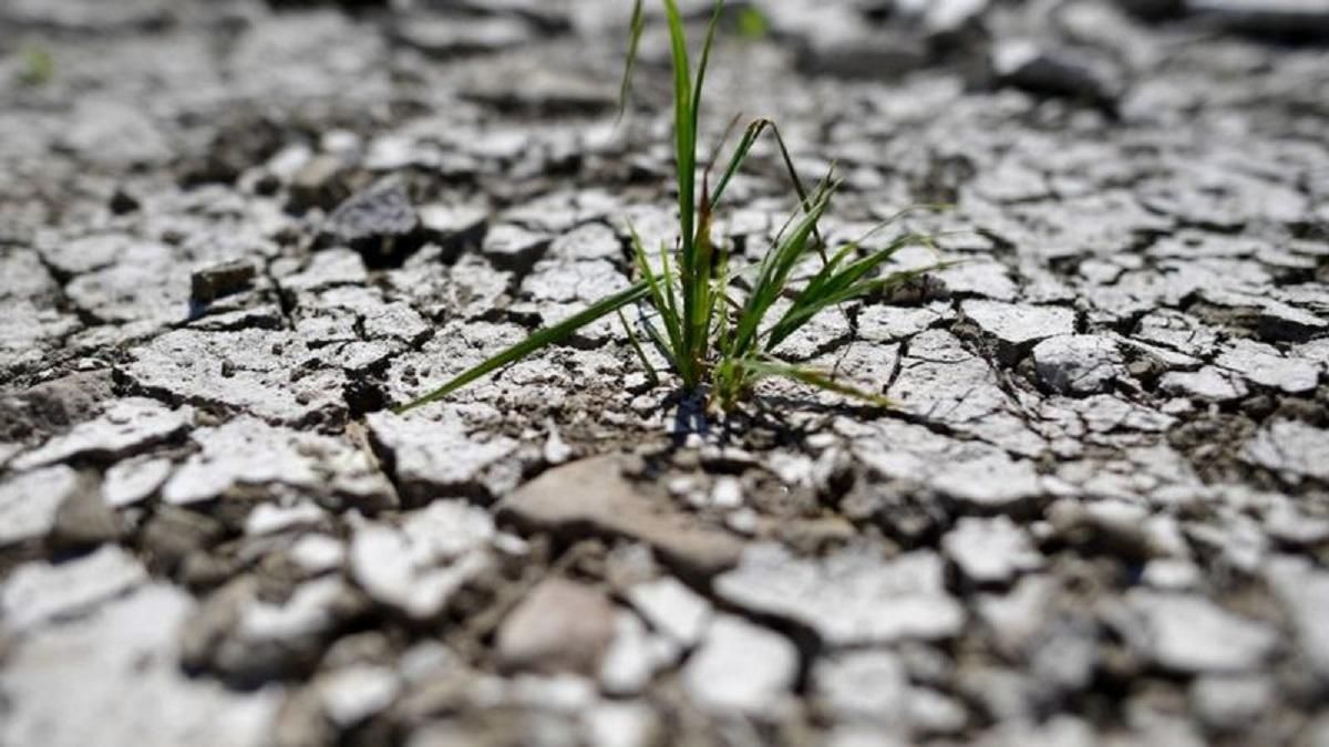 Около 85% украинцев считают деятельность человека причиной изменения климата - Украина новости - Тренды Около 85% украинцев считают деятельность человека причиной изменения климата - Украина новости - Тренды