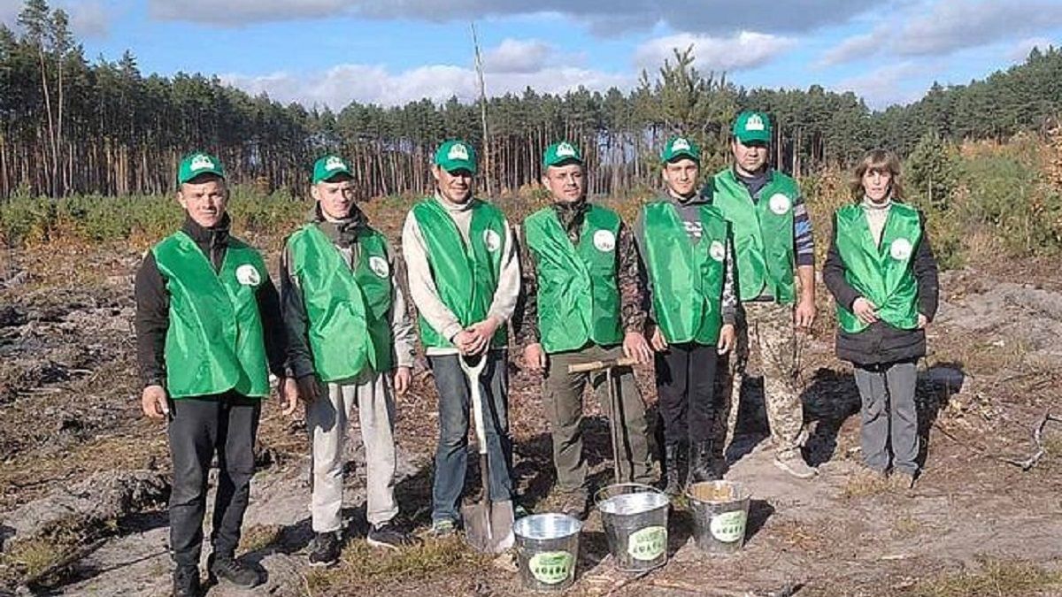 В Хмельницкой области высадили почти 3 миллиона деревьев - Украина новости - Тренды В Хмельницкой области высадили почти 3 миллиона деревьев - Украина новости - Тренды