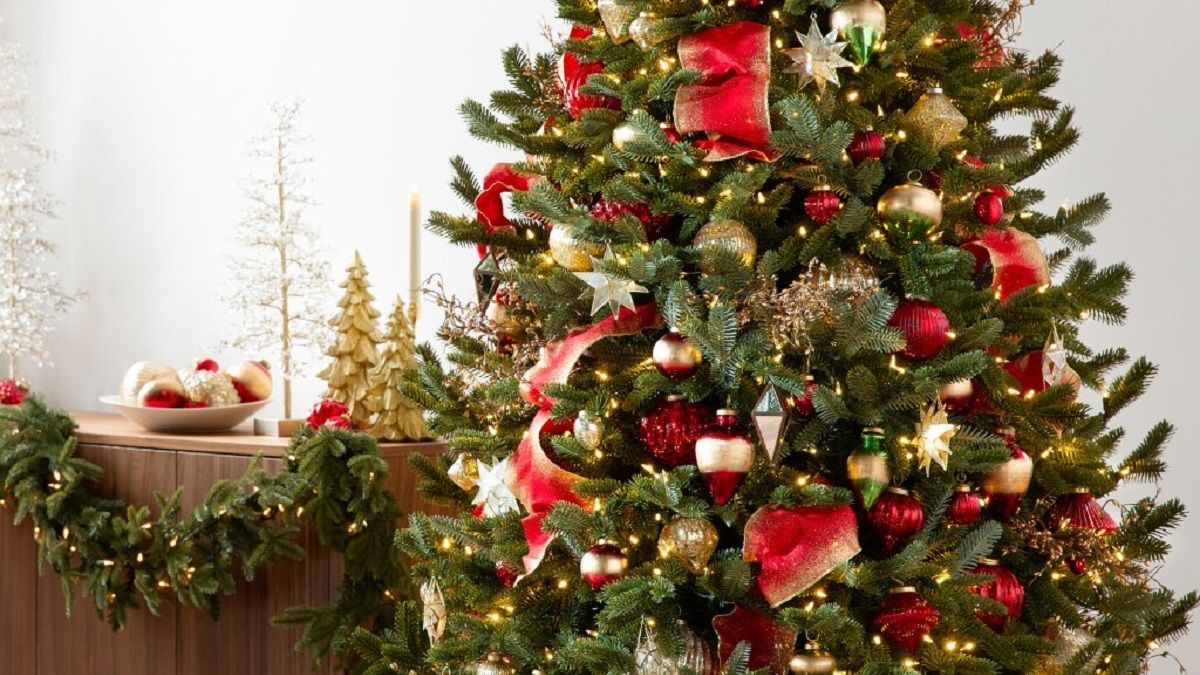 Ученые заявили об опасности новогодних елок - Тренды