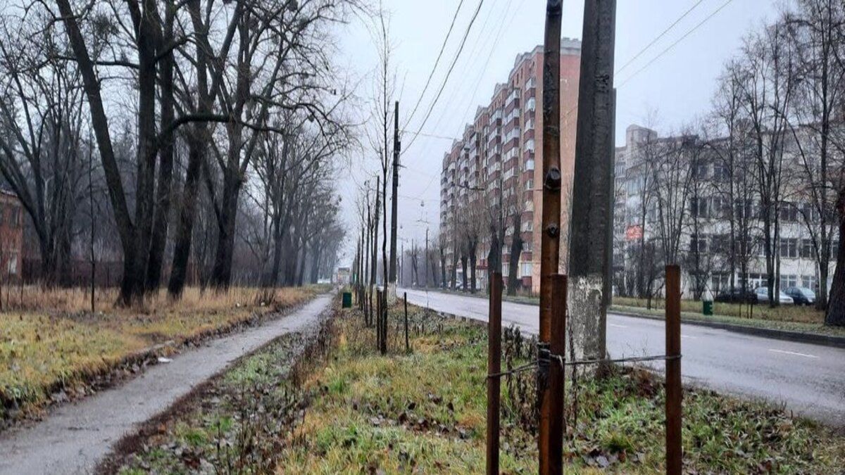 У Сумах може з'явитися ще одна липова алея - Тренди У Сумах може з'явитися ще одна липова алея - Тренди
