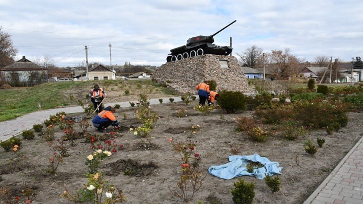 На Одещині проводять масове озеленення - Тренды На Одещині проводять масове озеленення - Тренды