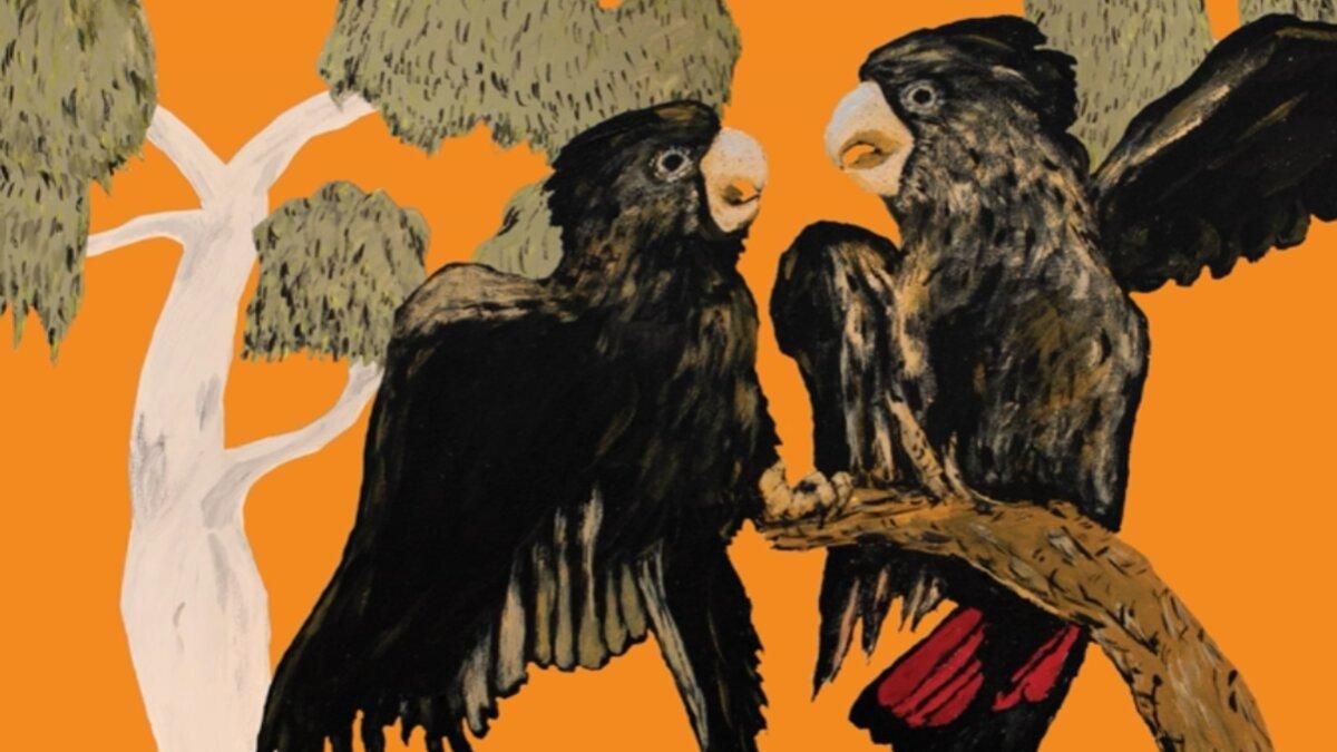 Австралійці випустили музичний альбом, що складається зі співу рідкісних птахів - Тренди