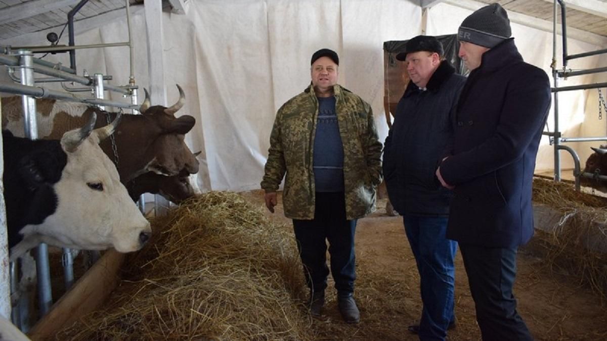 В Винницкой области открыли первую семейную молочную ферму - Свежие новости Винницы - Тренды