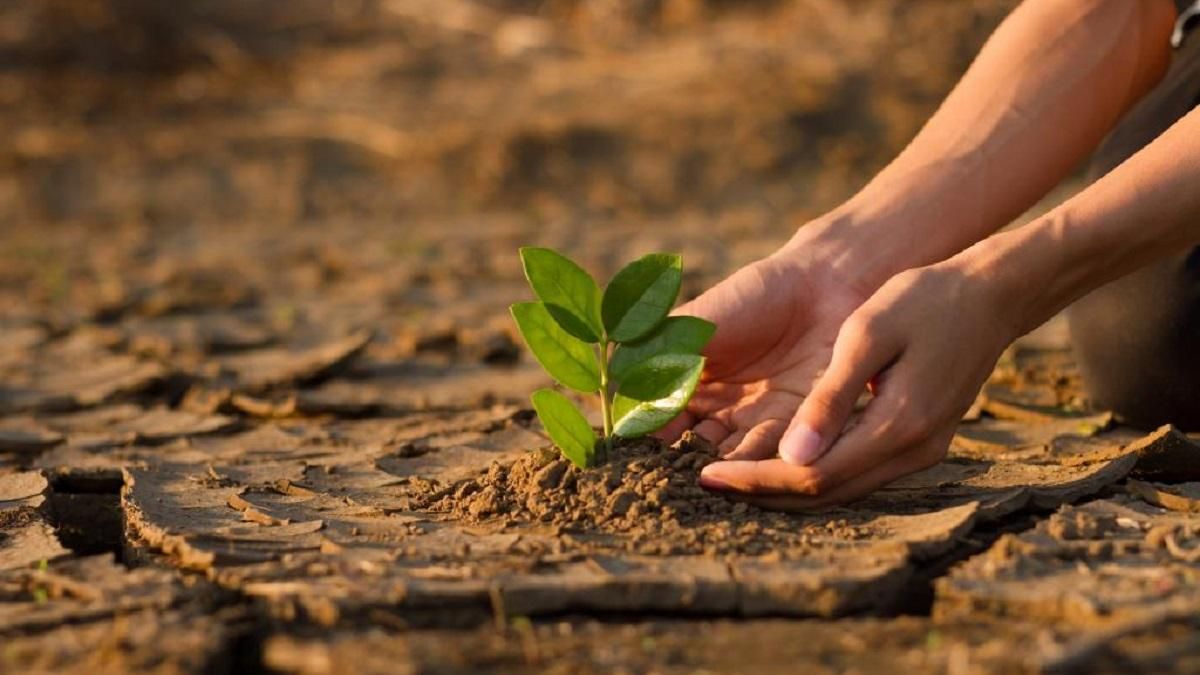 Эксперт назвала худшее последствие для Украины от изменения климата - Тренды Эксперт назвала худшее последствие для Украины от изменения климата - Тренды