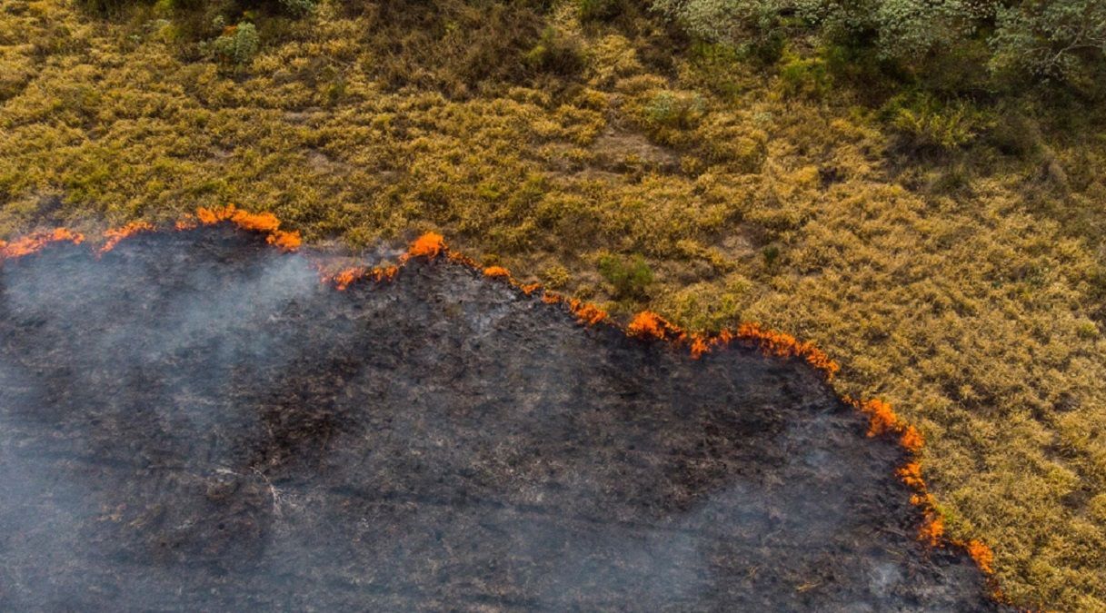 Зміна клімату найсильніше вдарить по 5 областях України, – дослідження - Україна новини - Тренди Зміна клімату найсильніше вдарить по 5 областях України, – дослідження - Україна новини - Тренди