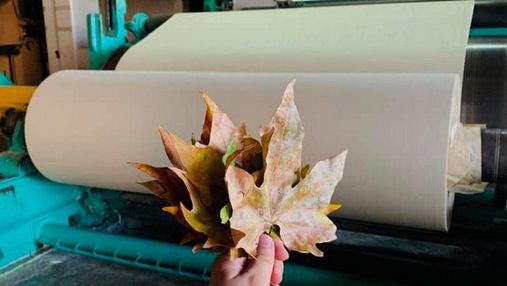 Українець постачатиме пакувальний папір з опалого листя для L'Oréal