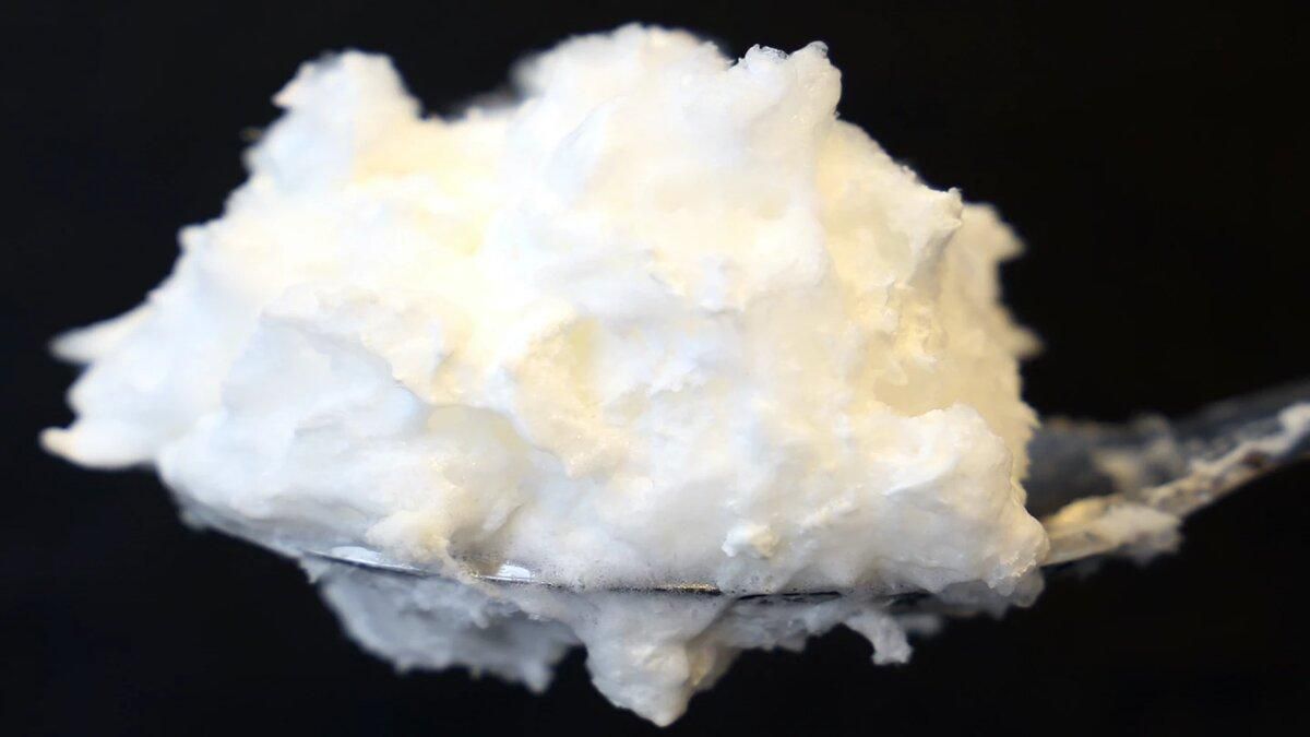 "Зеленая" альтернатива: исследователи научились получать яичный белок из грибов - Тренды "Зеленая" альтернатива: исследователи научились получать яичный белок из грибов - Тренды