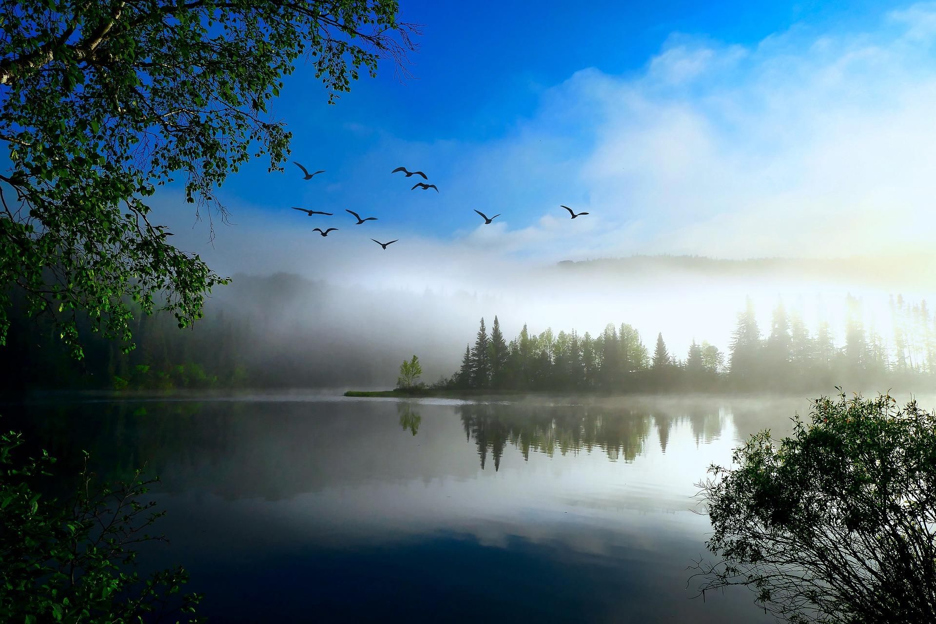 В Украине запускают конкурс "Экофрендли" бизнес-идей - Тренды В Украине запускают конкурс "Экофрендли" бизнес-идей - Тренды