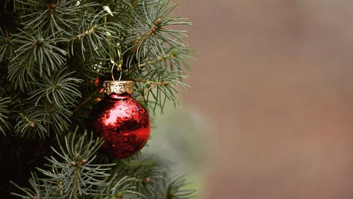 С пользой для окружающей среды: во Львове можно сдать новогодние елки на переработку