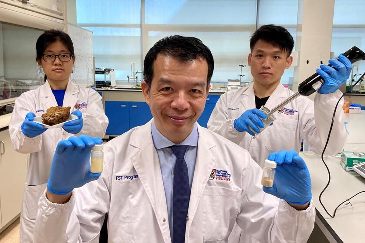 Ученые нашли растительную альтернативу молочным продуктам и яйцам - Тренды Ученые нашли растительную альтернативу молочным продуктам и яйцам - Тренды