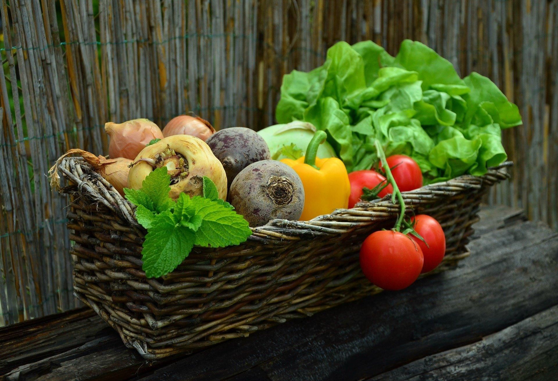 Ученые назвали тип овощей, что повышает риск рака желудка - Тренды