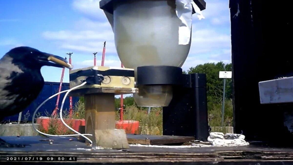 В Швеции опробуют инновационный метод уборки мусора - Тренды В Швеции опробуют инновационный метод уборки мусора - Тренды