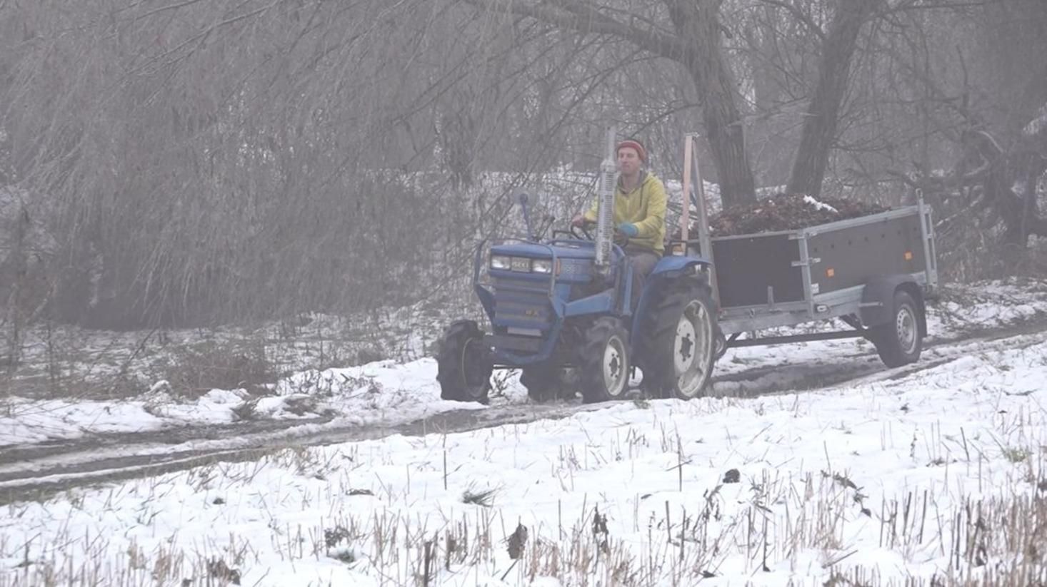 Українці відкрили ферму, де черв'яки переробляють листя на добриво - Свіжі новини Черкас - Тренди Українці відкрили ферму, де черв'яки переробляють листя на добриво - Свіжі новини Черкас - Тренди