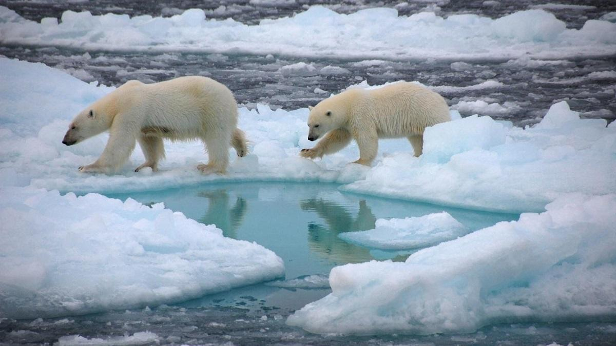 Потепление арктической зимы беспощадно сказывается на субтропиках Восточной Азии - Новости мира - Тренды