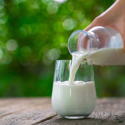 В чем польза натурального молока: 5 несомненных аргументов