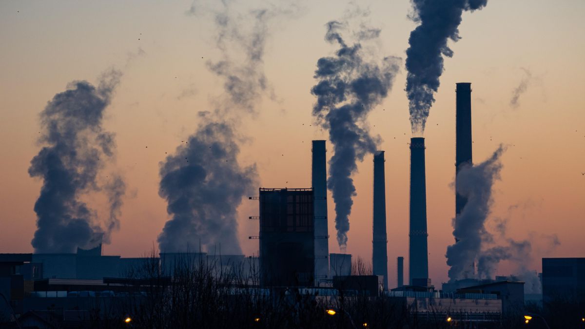 Загрязнение окружающей среды повлекло больше смертей, чем пандемия COVID-19: отчет ООН - Тренды
